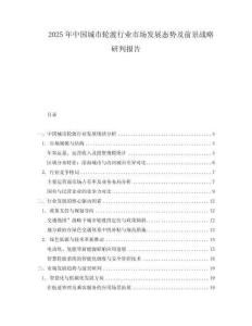 2025年中國城市輪渡行業(yè)市場發(fā)展態(tài)勢及前景戰(zhàn)略研判報(bào)告