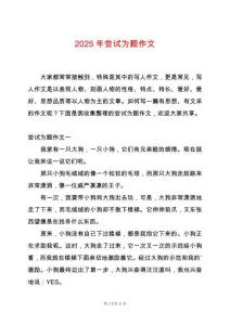 2025年嘗試為題作文