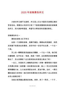 2025年夜晚景色作文