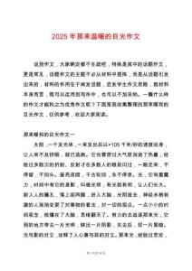 2025年那束溫暖的目光作文