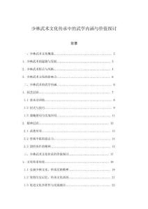 少林武術文化傳承中的武學內涵與價值探討