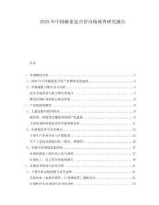 2025年中國(guó)碳素復(fù)合管市場(chǎng)調(diào)查研究報(bào)告