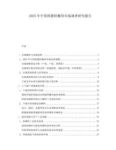 2025年中國熱鍍鋅螺母市場調查研究報告