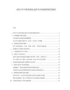 2025年中國壘球運動護具市場調查研究報告