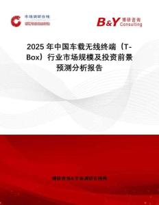 2025年中國車載無線終端（T-Box）行業市場規模及投資前景預測分析報告