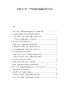 2025年中國小型保險箱市場調(diào)查研究報告