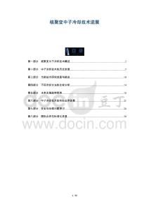 核聚變中子冷卻技術(shù)進(jìn)展-洞察及研究