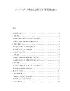 2025年對甲苯磺酰氨基脲項目可行性研究報告