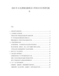 2025年24孔塑格電鍍重音口琴項目可行性研究報告