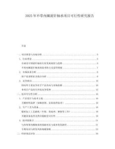 2025年不帶內(nèi)圈滾針軸承項(xiàng)目可行性研究報(bào)告