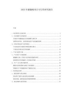 2025年藤躺椅項(xiàng)目可行性研究報(bào)告