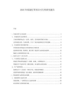 2025年紙制燈罩項目可行性研究報告