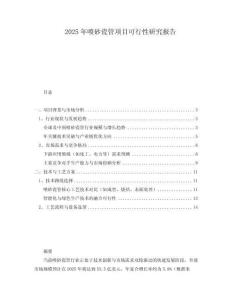 2025年噴砂瓷管項(xiàng)目可行性研究報(bào)告