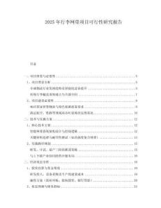 2025年行李網帶項目可行性研究報告