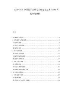 2025-2030中國藍牙音頻芯片低延遲技術與TWS耳機市場分析