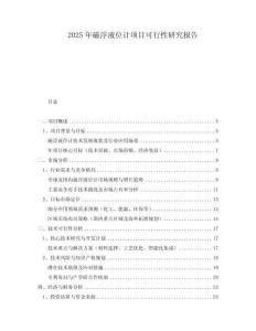 2025年磁浮液位計項目可行性研究報告