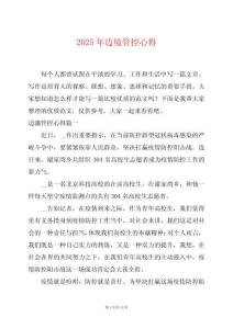 2025年邊境管控心得