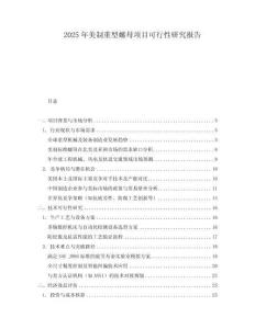 2025年美制重型螺母項(xiàng)目可行性研究報(bào)告