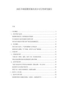 2025年鋼質錐形錨具項目可行性研究報告