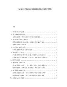 2025年毛圈運動襪項目可行性研究報告