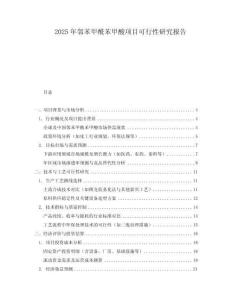 2025年鄰苯甲酰苯甲酸項(xiàng)目可行性研究報(bào)告