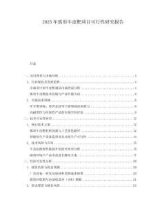 2025年弧形牛皮靶項目可行性研究報告
