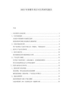 2025年客梯車(chē)項(xiàng)目可行性研究報(bào)告