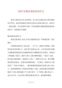 2025年我喜愛的東西作文