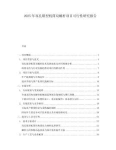 2025年雙孔鋸型機(jī)筒雙螺桿項(xiàng)目可行性研究報(bào)告