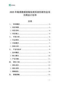 2025年敏感數據脫敏處理系統創新創業項目商業計劃書