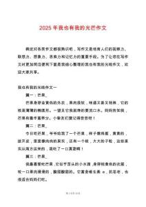 2025年我也有我的光芒作文