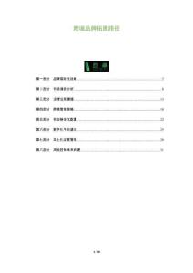 跨境品牌拓展路徑-洞察及研究