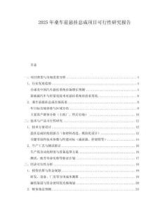 2025年桑車前懸掛總成項目可行性研究報告