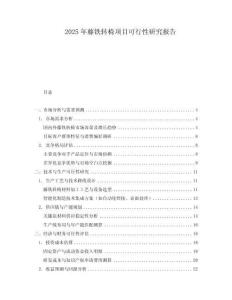2025年藤鐵轉(zhuǎn)椅項(xiàng)目可行性研究報(bào)告