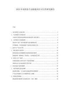 2025年雙組份手動(dòng)膠槍項(xiàng)目可行性研究報(bào)告