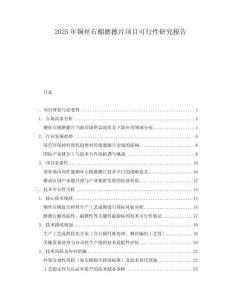 2025年銅絲石棉磨擦片項目可行性研究報告