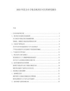 2025年活力小子收音機項目可行性研究報告