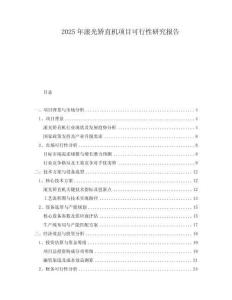 2025年滾光矯直機項目可行性研究報告
