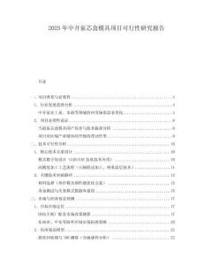 2025年中開泵芯盒模具項目可行性研究報告