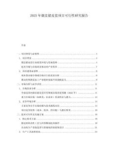 2025年煙盅豬皮套項目可行性研究報告