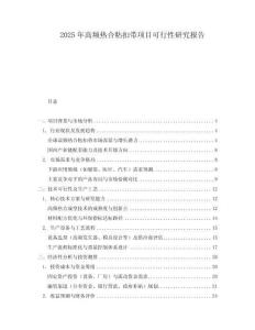 2025年高頻熱合粘扣帶項(xiàng)目可行性研究報(bào)告