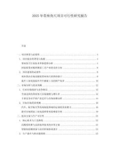 2025年帶座角尺項目可行性研究報告
