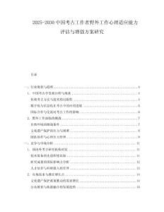 2025-2030中國考古工作者野外工作心理適應能力評估與增強方案研究