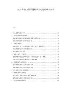 2025年取力器平鍵軸項目可行性研究報告