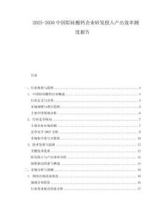 2025-2030中國鋁硅酸鈣企業(yè)研發(fā)投入產(chǎn)出效率測度報告