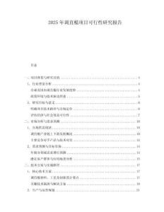 2025年調(diào)直棍項(xiàng)目可行性研究報(bào)告