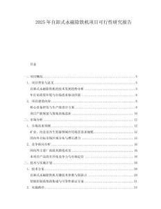 2025年自卸式永磁除鐵機項目可行性研究報告