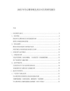 2025年空心錐形噴頭項目可行性研究報告