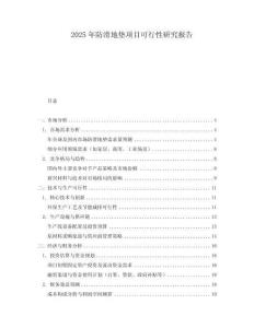2025年防滑地墊項目可行性研究報告