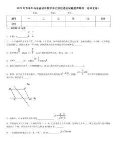2025年下半年山東省初中數學單元測驗通關秘籍題庫精品（奪分金卷）
